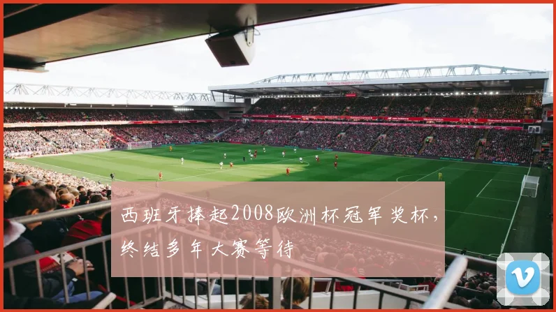 西班牙捧起2008欧洲杯冠军奖杯,终结多年大赛等待