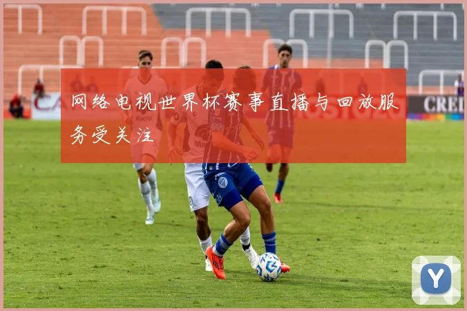 网络电视世界杯赛事直播与回放服务受关注