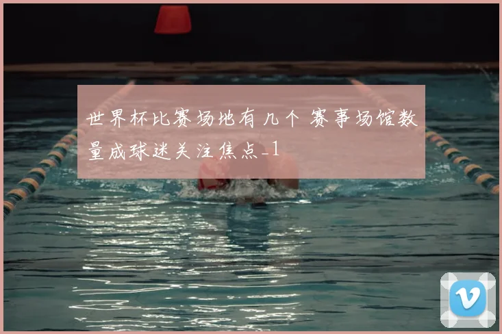 世界杯比赛场地有几个 赛事场馆数量成球迷关注焦点_1