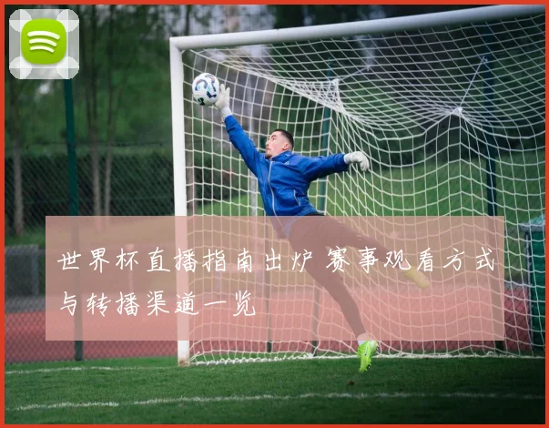 世界杯直播指南出炉 赛事观看方式与转播渠道一览