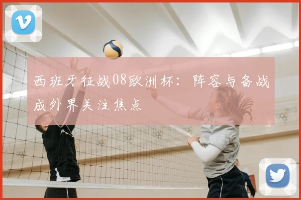 西班牙征战08欧洲杯:阵容与备战成外界关注焦点