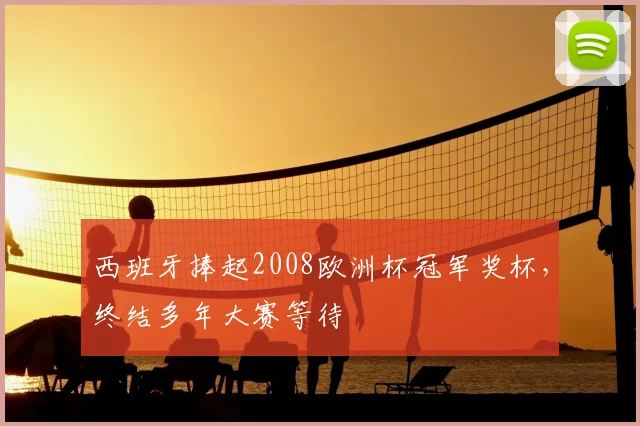 西班牙捧起2008欧洲杯冠军奖杯，终结多年大赛等待